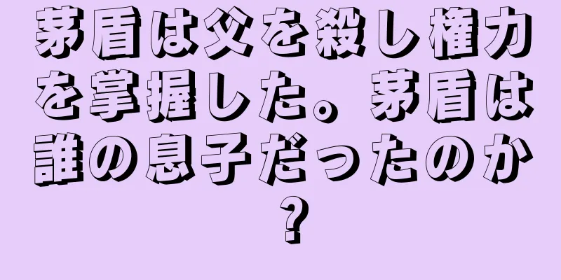 茅盾は父を殺し権力を掌握した。茅盾は誰の息子だったのか？