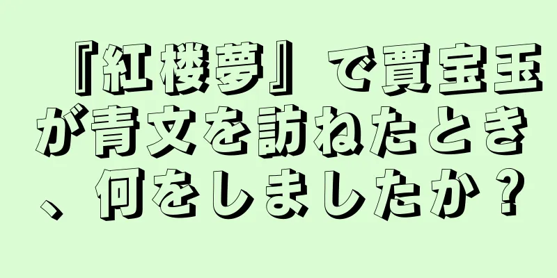 『紅楼夢』で賈宝玉が青文を訪ねたとき、何をしましたか？