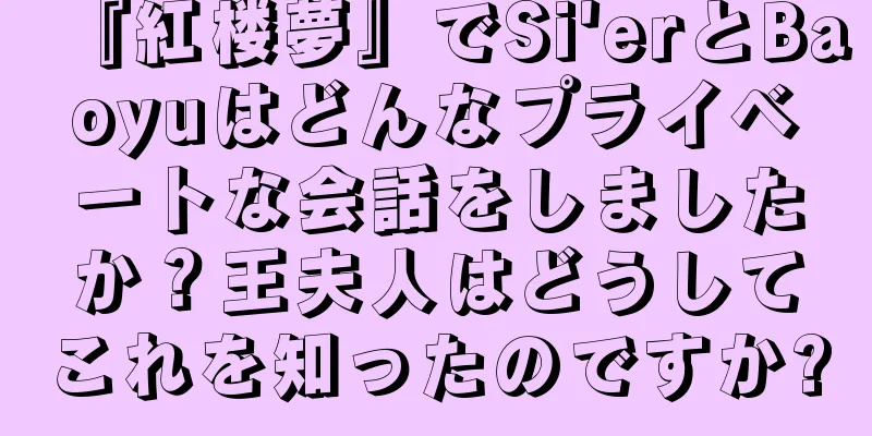 『紅楼夢』でSi'erとBaoyuはどんなプライベートな会話をしましたか？王夫人はどうしてこれを知ったのですか?