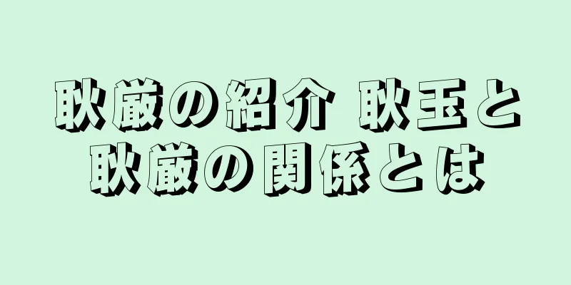 耿厳の紹介 耿玉と耿厳の関係とは