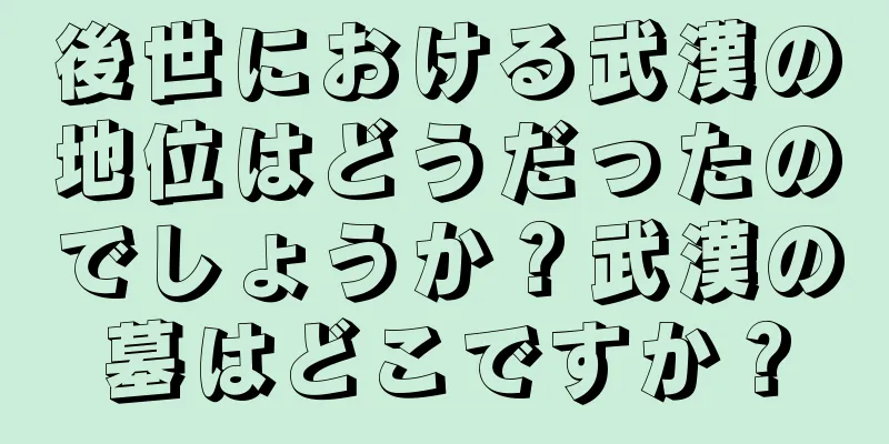 後世における武漢の地位はどうだったのでしょうか？武漢の墓はどこですか？