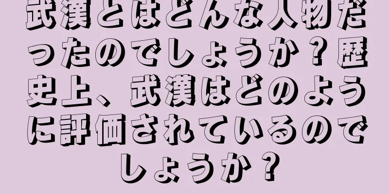武漢とはどんな人物だったのでしょうか？歴史上、武漢はどのように評価されているのでしょうか？