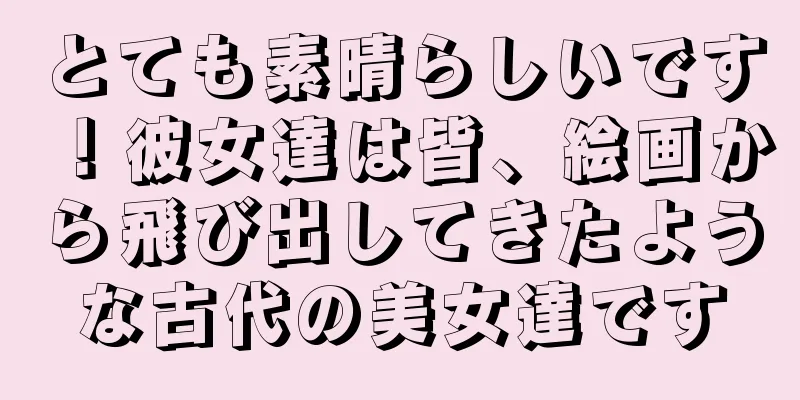 とても素晴らしいです！彼女達は皆、絵画から飛び出してきたような古代の美女達です