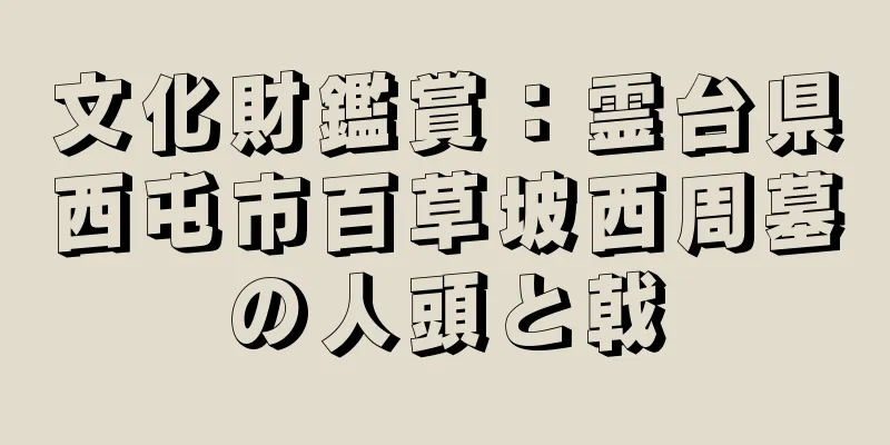 文化財鑑賞：霊台県西屯市百草坡西周墓の人頭と戟