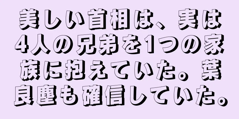 美しい首相は、実は4人の兄弟を1つの家族に抱えていた。葉良塵も確信していた。