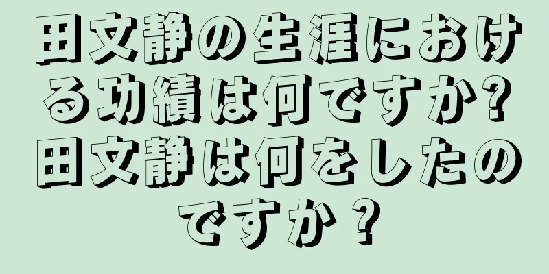 田文静の生涯における功績は何ですか?田文静は何をしたのですか？