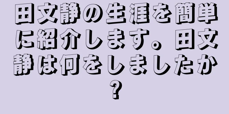 田文静の生涯を簡単に紹介します。田文静は何をしましたか?