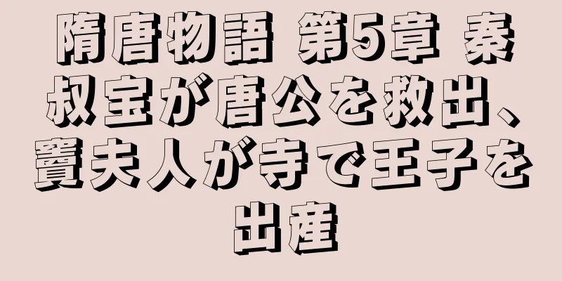 隋唐物語 第5章 秦叔宝が唐公を救出、竇夫人が寺で王子を出産