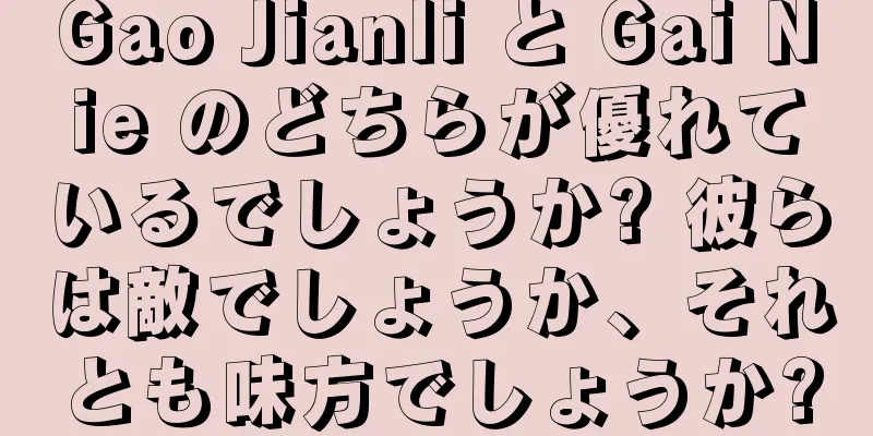 Gao Jianli と Gai Nie のどちらが優れているでしょうか? 彼らは敵でしょうか、それとも味方でしょうか?