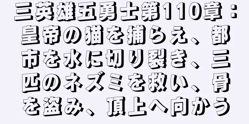 三英雄五勇士第110章：皇帝の猫を捕らえ、都市を水に切り裂き、三匹のネズミを救い、骨を盗み、頂上へ向かう