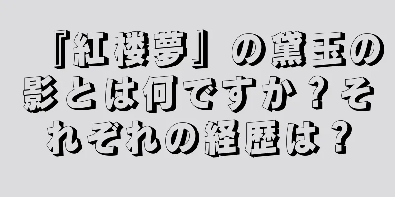 『紅楼夢』の黛玉の影とは何ですか？それぞれの経歴は？