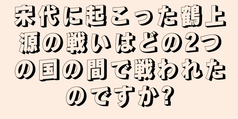宋代に起こった鶴上源の戦いはどの2つの国の間で戦われたのですか?