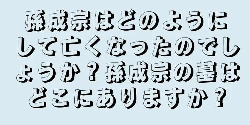 孫成宗はどのようにして亡くなったのでしょうか？孫成宗の墓はどこにありますか？