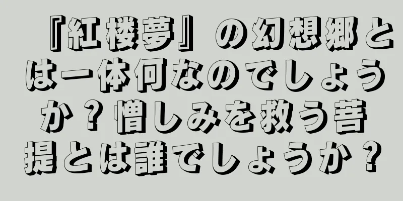 『紅楼夢』の幻想郷とは一体何なのでしょうか？憎しみを救う菩提とは誰でしょうか？