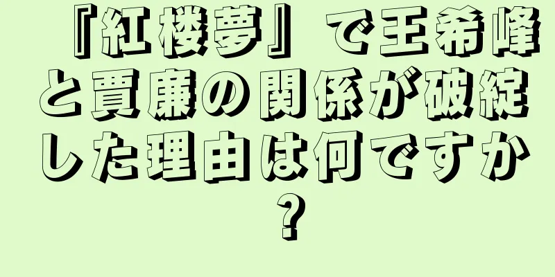 『紅楼夢』で王希峰と賈廉の関係が破綻した理由は何ですか？