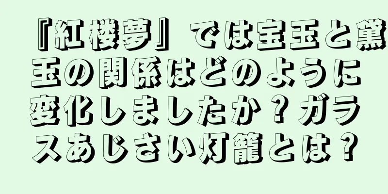 『紅楼夢』では宝玉と黛玉の関係はどのように変化しましたか？ガラスあじさい灯籠とは？