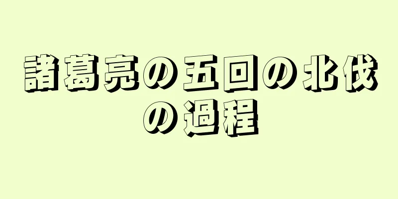 諸葛亮の五回の北伐の過程