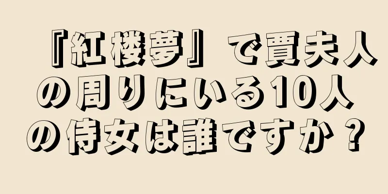 『紅楼夢』で賈夫人の周りにいる10人の侍女は誰ですか？