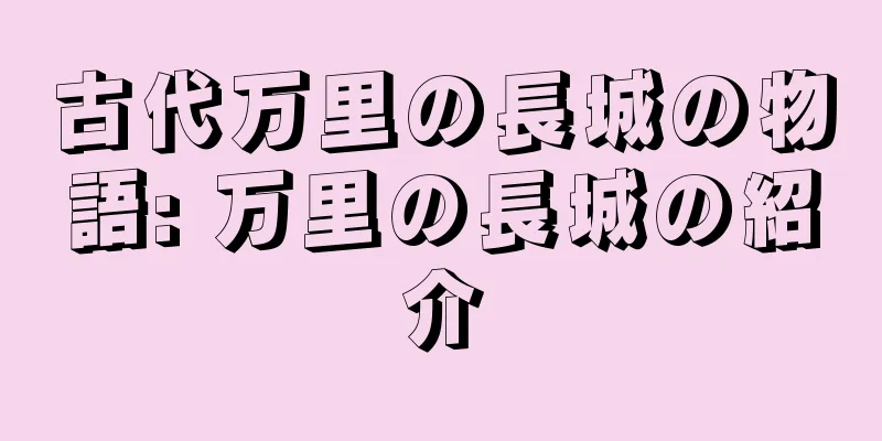 古代万里の長城の物語: 万里の長城の紹介
