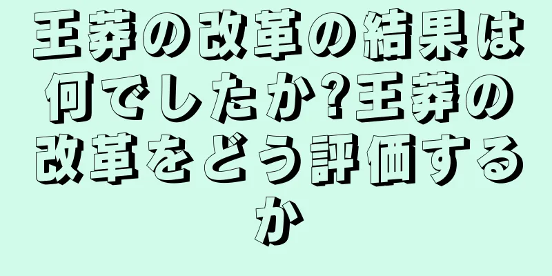 王莽の改革の結果は何でしたか?王莽の改革をどう評価するか