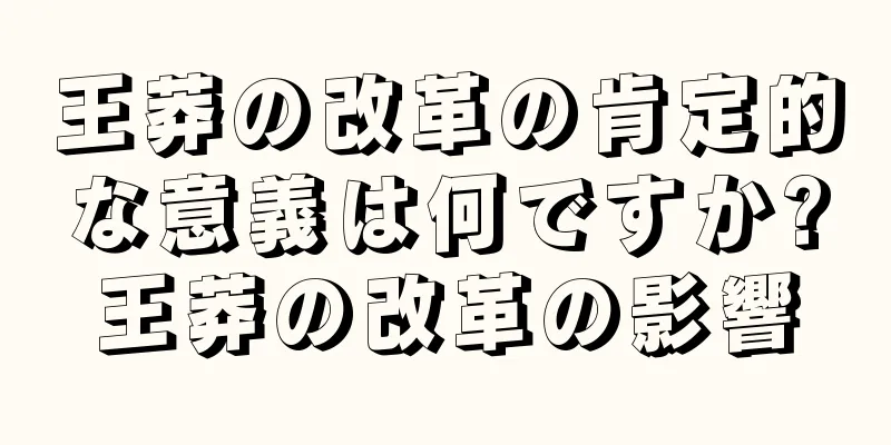 王莽の改革の肯定的な意義は何ですか?王莽の改革の影響