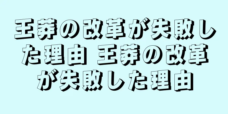 王莽の改革が失敗した理由 王莽の改革が失敗した理由