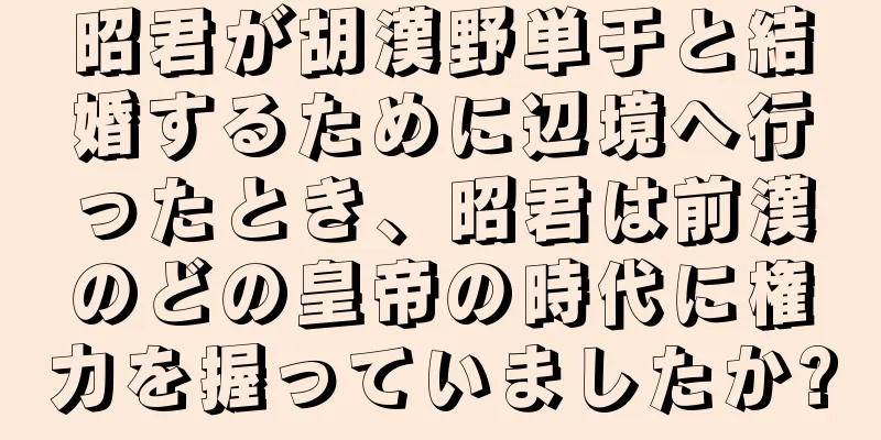 昭君が胡漢野単于と結婚するために辺境へ行ったとき、昭君は前漢のどの皇帝の時代に権力を握っていましたか?