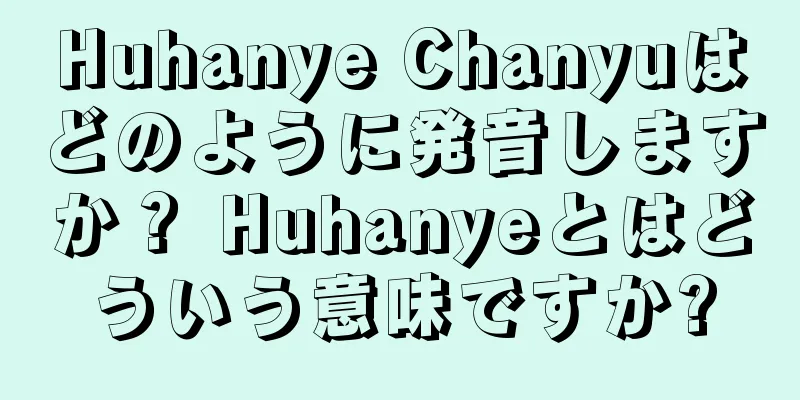 Huhanye Chanyuはどのように発音しますか？ Huhanyeとはどういう意味ですか?