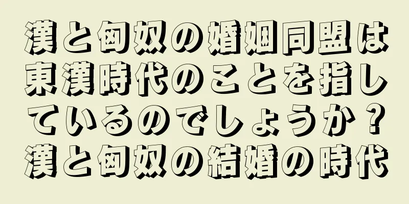 漢と匈奴の婚姻同盟は東漢時代のことを指しているのでしょうか？漢と匈奴の結婚の時代