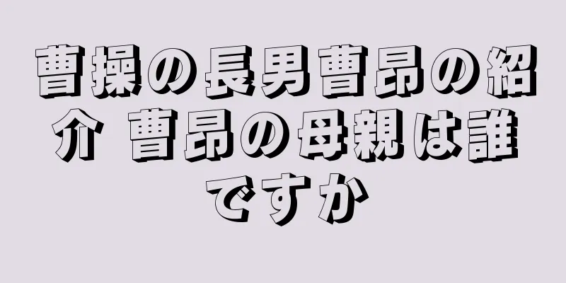 曹操の長男曹昂の紹介 曹昂の母親は誰ですか