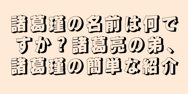 諸葛瑾の名前は何ですか？諸葛亮の弟、諸葛瑾の簡単な紹介