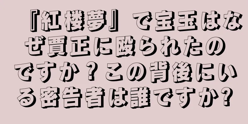 『紅楼夢』で宝玉はなぜ賈正に殴られたのですか？この背後にいる密告者は誰ですか?
