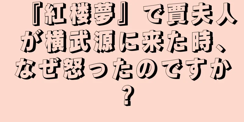 『紅楼夢』で賈夫人が横武源に来た時、なぜ怒ったのですか？