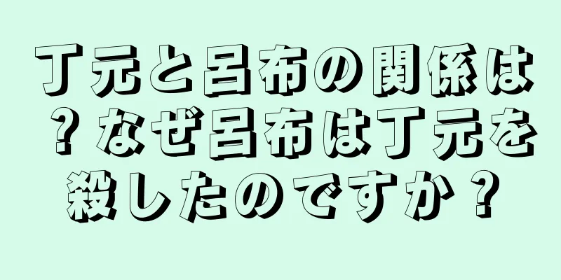 丁元と呂布の関係は？なぜ呂布は丁元を殺したのですか？