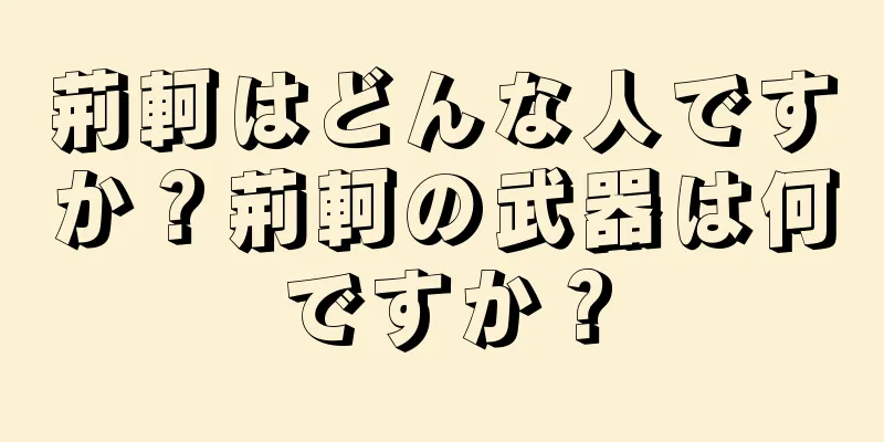 荊軻はどんな人ですか？荊軻の武器は何ですか？
