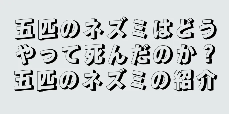 五匹のネズミはどうやって死んだのか？五匹のネズミの紹介