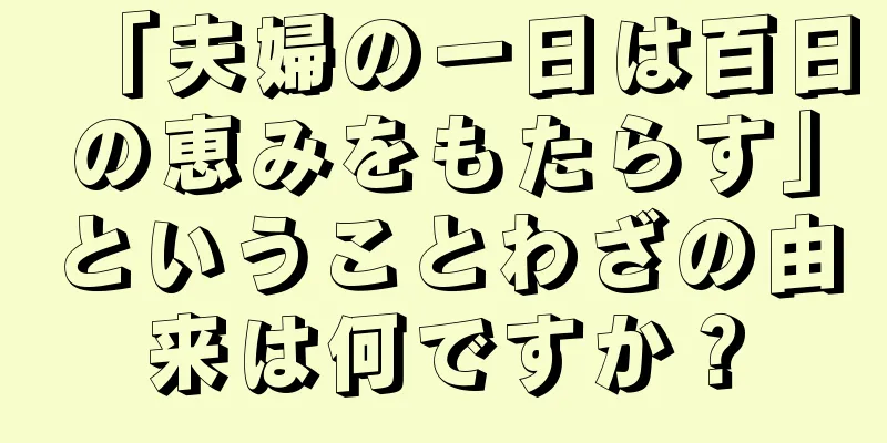 「夫婦の一日は百日の恵みをもたらす」ということわざの由来は何ですか？