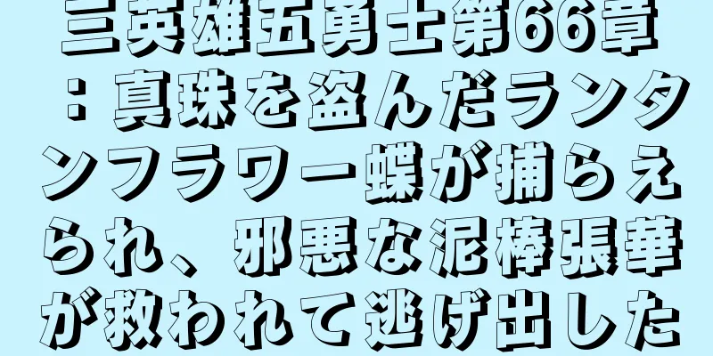 三英雄五勇士第66章：真珠を盗んだランタンフラワー蝶が捕らえられ、邪悪な泥棒張華が救われて逃げ出した