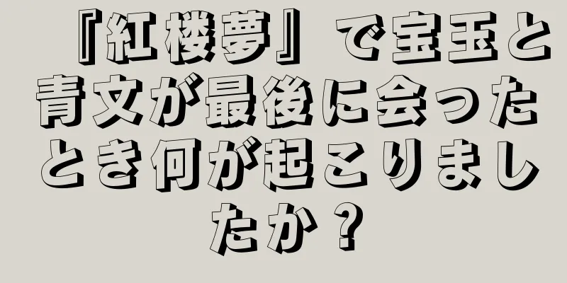 『紅楼夢』で宝玉と青文が最後に会ったとき何が起こりましたか？