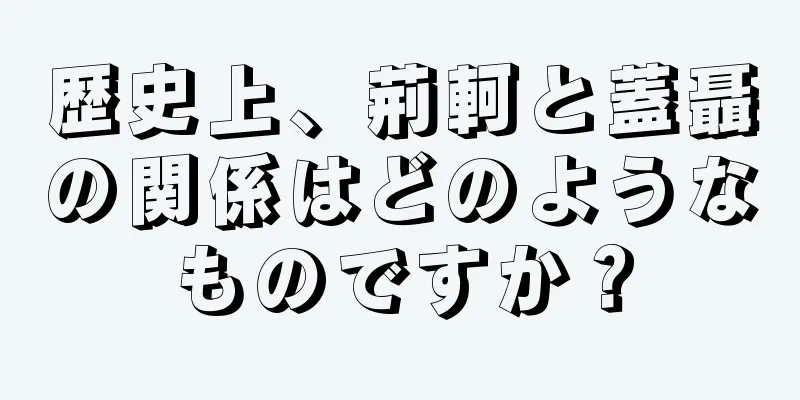歴史上、荊軻と蓋聶の関係はどのようなものですか？