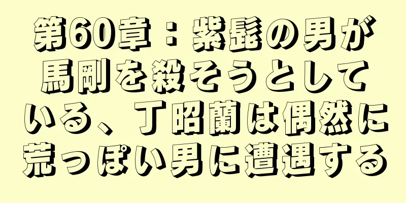 第60章：紫髭の男が馬剛を殺そうとしている、丁昭蘭は偶然に荒っぽい男に遭遇する