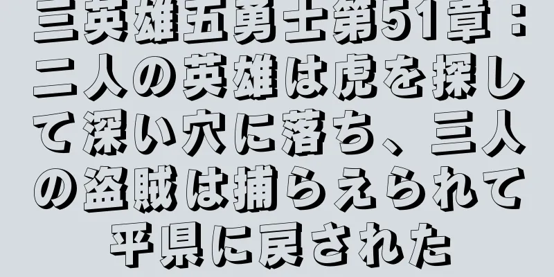 三英雄五勇士第51章：二人の英雄は虎を探して深い穴に落ち、三人の盗賊は捕らえられて平県に戻された