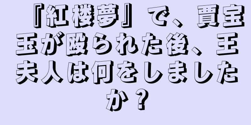 『紅楼夢』で、賈宝玉が殴られた後、王夫人は何をしましたか？