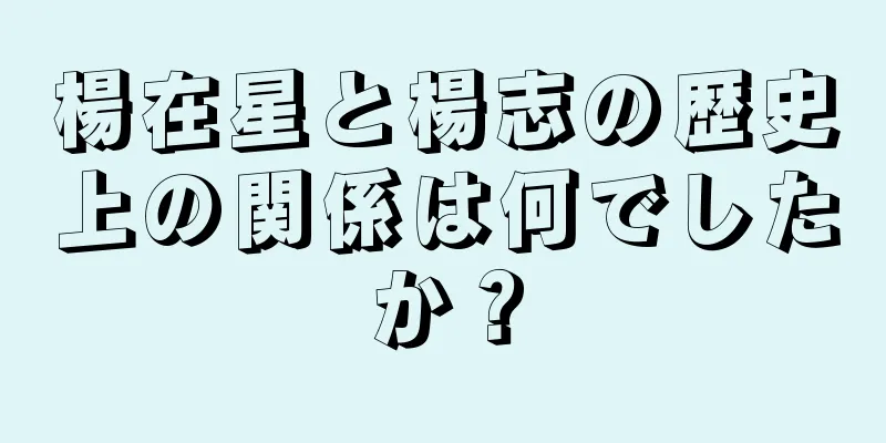 楊在星と楊志の歴史上の関係は何でしたか？