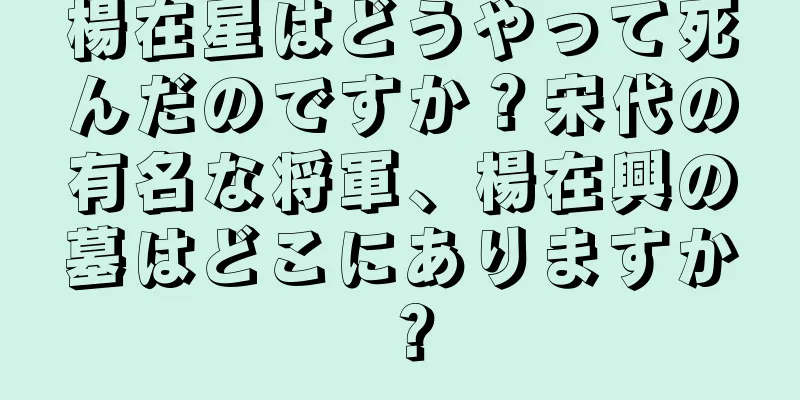 楊在星はどうやって死んだのですか？宋代の有名な将軍、楊在興の墓はどこにありますか？