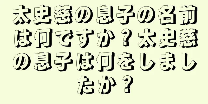 太史慈の息子の名前は何ですか？太史慈の息子は何をしましたか？