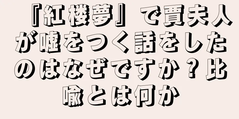 『紅楼夢』で賈夫人が嘘をつく話をしたのはなぜですか？比喩とは何か
