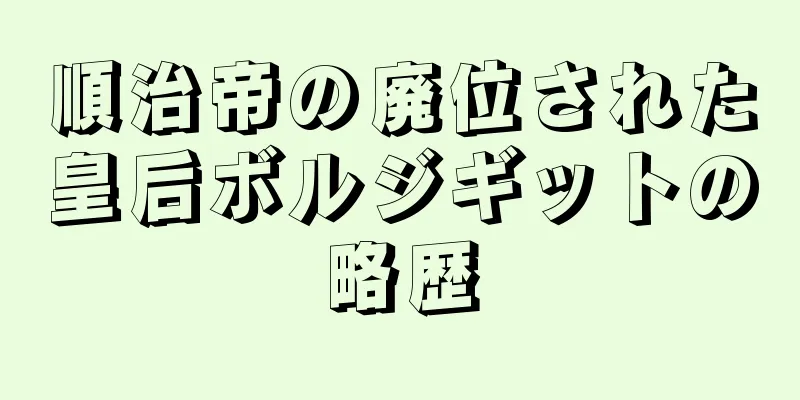 順治帝の廃位された皇后ボルジギットの略歴