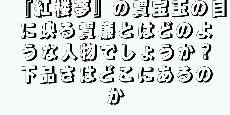 『紅楼夢』の賈宝玉の目に映る賈廉とはどのような人物でしょうか？下品さはどこにあるのか