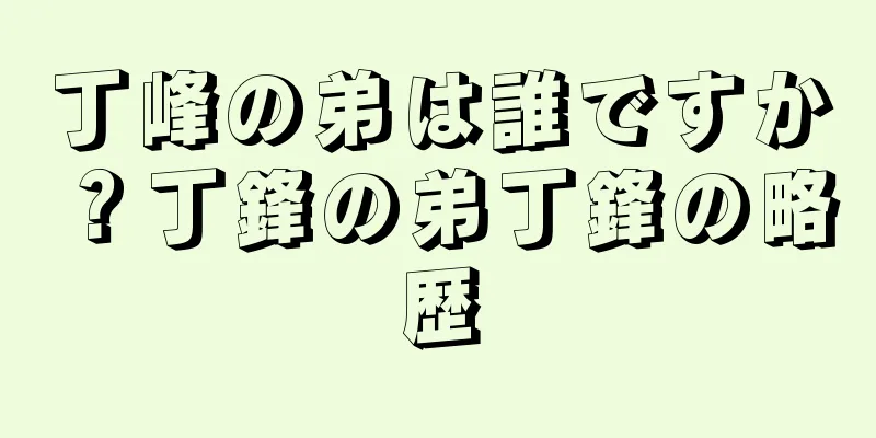 丁峰の弟は誰ですか？丁鋒の弟丁鋒の略歴